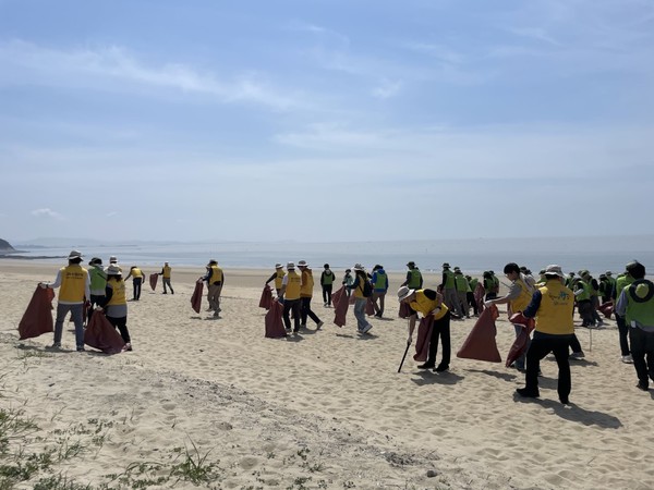 연안정화활동 모습 /사진제공=충청남도