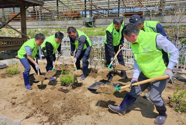 축산환경 개선 방취림 조성 /사진제공=경기농협