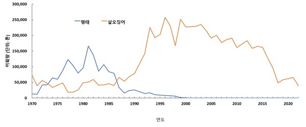우리나라 연근해 명태와 살오징어 연간 어획량 변화 /자료제공=통계청