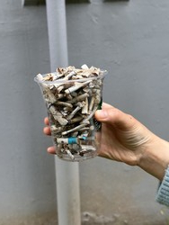 부산녹소연 담배꽁초줍기 /사진제공=녹색소비자연대전국협의회