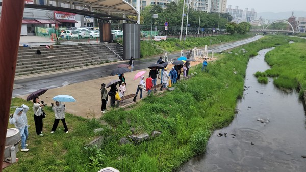 천안녹소연 하천 정화 /사진제공=녹색소비자연대전국협의회