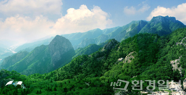 팔공산이 1980년 도립공원 지정 41년만에 국립공원으로 승격될 전망이다. 환경부와 지자체는 2일 서울 여의도 글래드호텔에서 ‘팔공산국립공원 승격 응원대회 및 토론회’를 개최하고 업무협약식과 토론회를 진행했다.