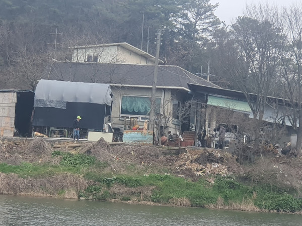 동물자유연대는 식용을 목적으로 전봇대에 개를 매달아 불법 도살한 학대자를 동물보호법 위반으로 3월18일 관할 경찰서인 광주 광산경찰서에 고발했다. /사진제공=동물자유연대