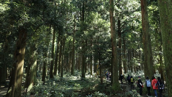 국립산림과학원 연구에 따르면 숲을 경험하면 경험하지 않는 사람보다 3.9%, 산림복지서비스를 이용했을 때는 경험하지 않는 사람보다 8.8%의 높은 삶의 질을 보였다. /사진제공=국립산림과학원