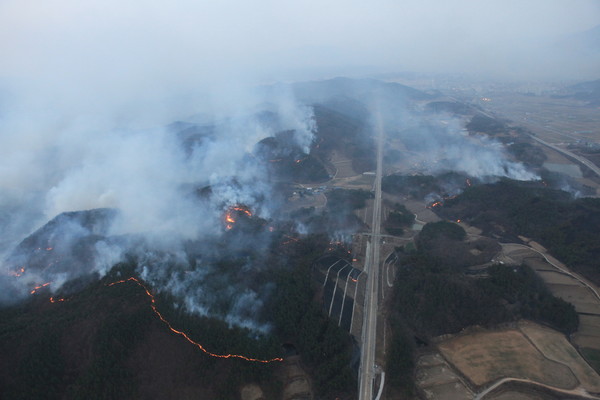 경북 울주군에서 발생한 산불로 도로가 연기로 뒤덮여 있다. /사진제공=국립산림과학원