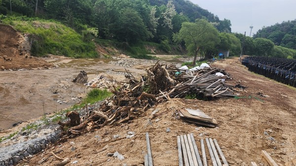 임목 폐기물들이 여러 곳에 방치돼 있다. /사진=김성재 기자