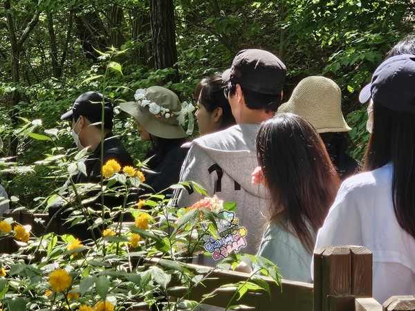 국립대전숲체원, 전유아교육진흥원과 함께 숲캠프 운영 /사진제공=국립대전숲체원