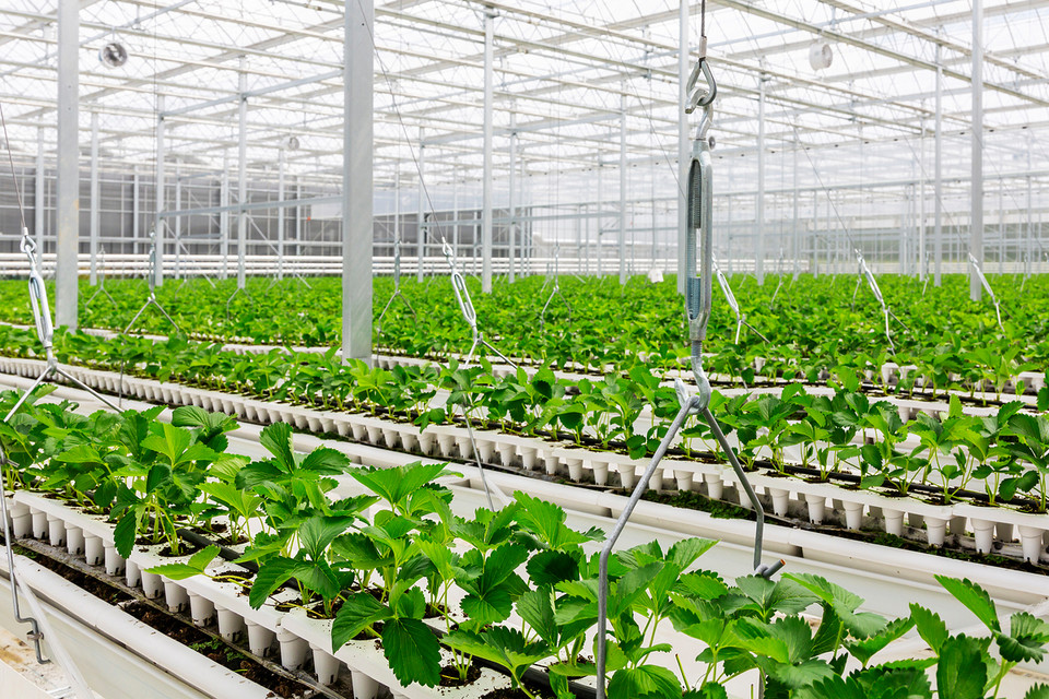 김진형 명예교수는 AI를 활용한 IoT 기술이나 스마트 농업이 국가의 지속가능발전에 이바지할 수 있다고 설명했다. /사진=환경일보DB