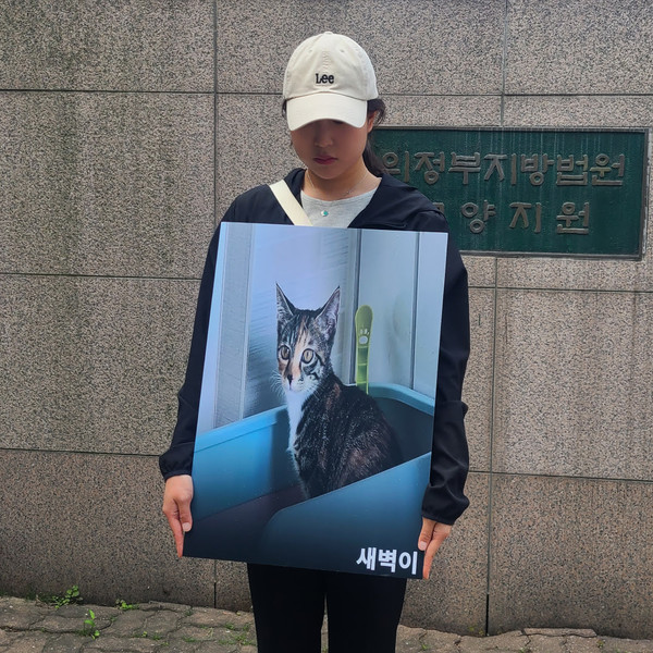 A씨에게 보내진 뒤 영원히 돌아오지 못한 동물들 /사진제공=동물권행동 카라