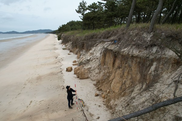 전라남도 신안군 증도 우전 해수욕장 연안침식 현장(유네스코 생물권보전지역) /사진제공=녹색연합