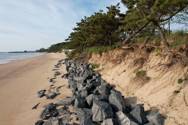 보령시 독산해수욕장 /사진제공=녹색연합