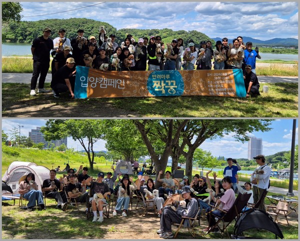 경기도, ‘반려마루 짝꿍들’ 반려동물 입양 캠페인 /사진제공=경기도