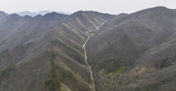 백두대간 보호지역은 대한민국의 위와 아래를 잇는 한반도의 핵심 생태축이자, 생물다양성의 보고로 알려져 있다. 이 지역에서의 모두베기는 광범위한 생태계 파괴를 초래할 가능성이 높다. /사진제공=그린피스