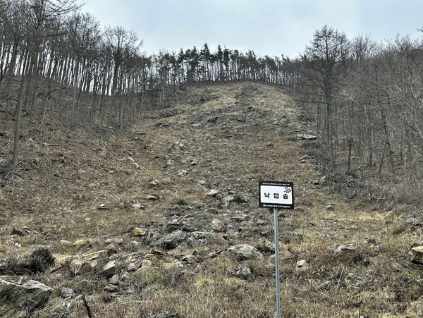 민주지산 백두대간 보호지역 내 개발된 ‘선도 산림경영단지 숲가꾸기 시범사업 입지’ 각 구역에는 ‘민주지산 선도 산림경영단지 숲가꾸기 시범사업 입지’ 라는 문구와 새로 심는 수종의 이름이 적힌 안내문이 있었다. /사진제공=그린피스
