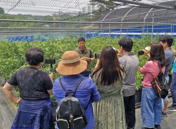 평택시, 스마트농업인 SNS 서포터즈 팸투어 진행 /사진제공=평택시 