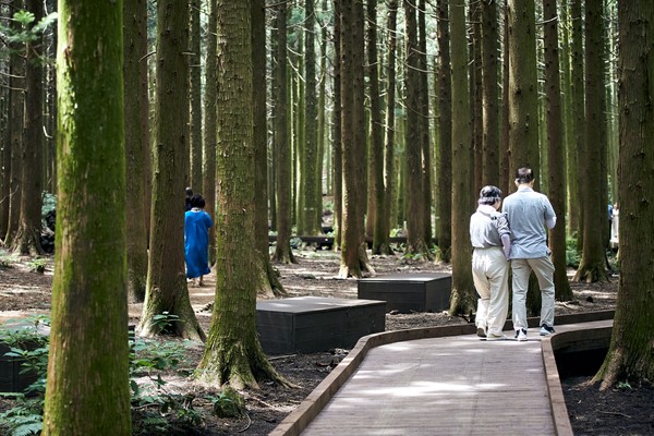 무장애나눔길 조성사업(제주도 서귀포시 사려니숲) /사진제공=한국산림복지진흥원