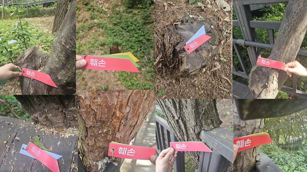 무장애숲길 훼손된 곳을 표시한 모습 /사진출처=모니터링 참가자 조주연