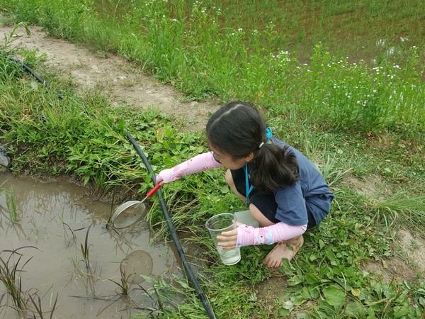 2024 무수골 생물다양성 대탐사 /사진제공=서울환경연합