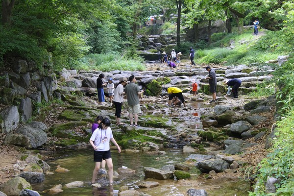 2024 무수골 생물다양성 대탐사 /사진제공=서울환경연합