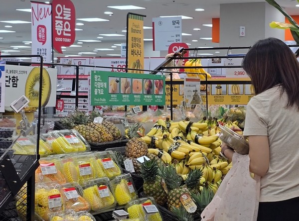 수입열대과일 자류농약 검사 /사진제공=경기도