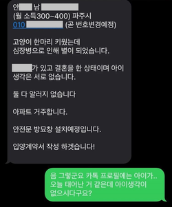 안씨가 입양을 시도하며 거짓말 하는 내용