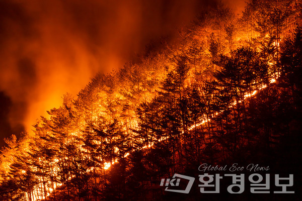 산불과 산사태, 소나무재선충병 등 산림재난의 종류와 규모가 다양화되고 대형화되는 상황에서 산림재난에 효과적으로 대응하기 위해서는 하나의 통합된 법체계를 구축해야 한다는 필요성과 공감대가 높아지고 있다. /사진=환경일보 DB