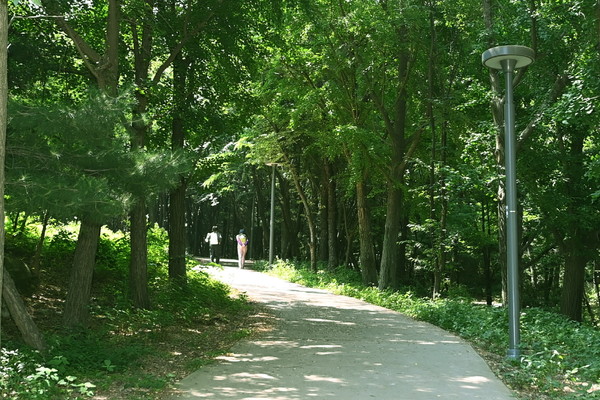대유평공원과 이어지는 숙지산 보행로 시민들 /사진제공=수원시