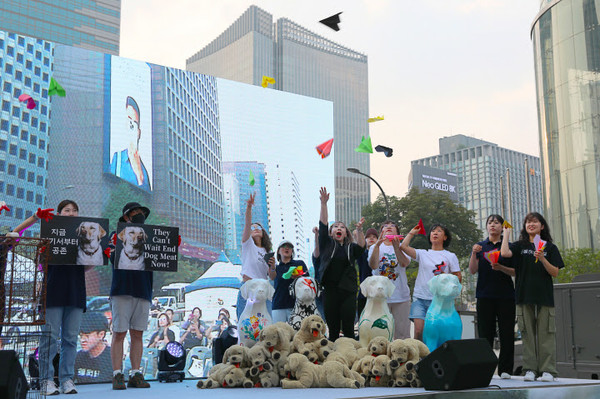 동물단체, 개식용 종식 문화제 개최 /사진제공=동물자유연대