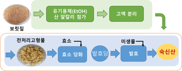 보릿짚 유래 발효당으로 바이오화학 기초원료 숙신산을 생산하는 과정 /사진제공=농촌진흥청