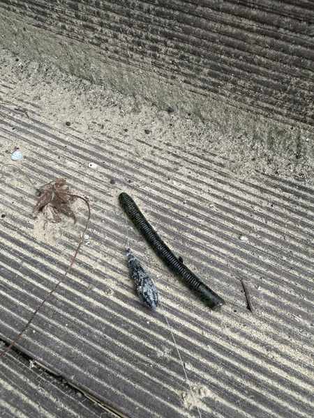 만경강에서 발견한 낚시용품 /사진=손제진 학생기자