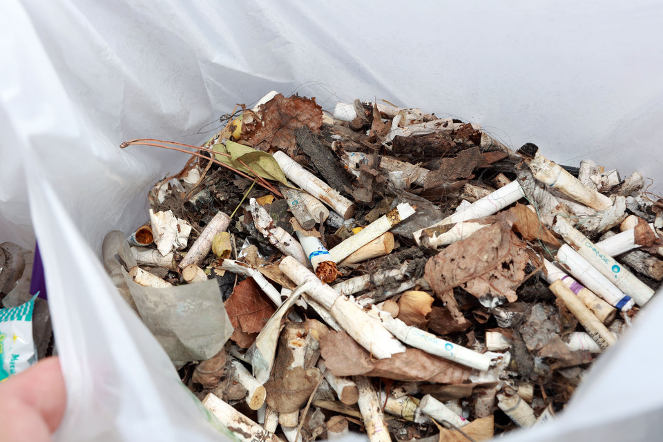 무교동 일대에서 쓰담필터 크루들이 수거한 담배꽁초  /사진제공환경재단