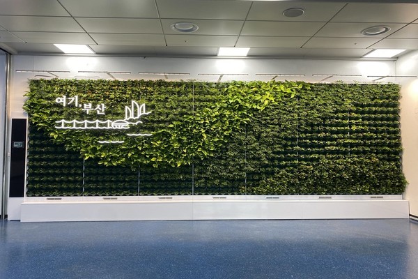 시는 5억원을 들여 김해국제공항에 실내정원을 조성했다. /사진제공=부산시