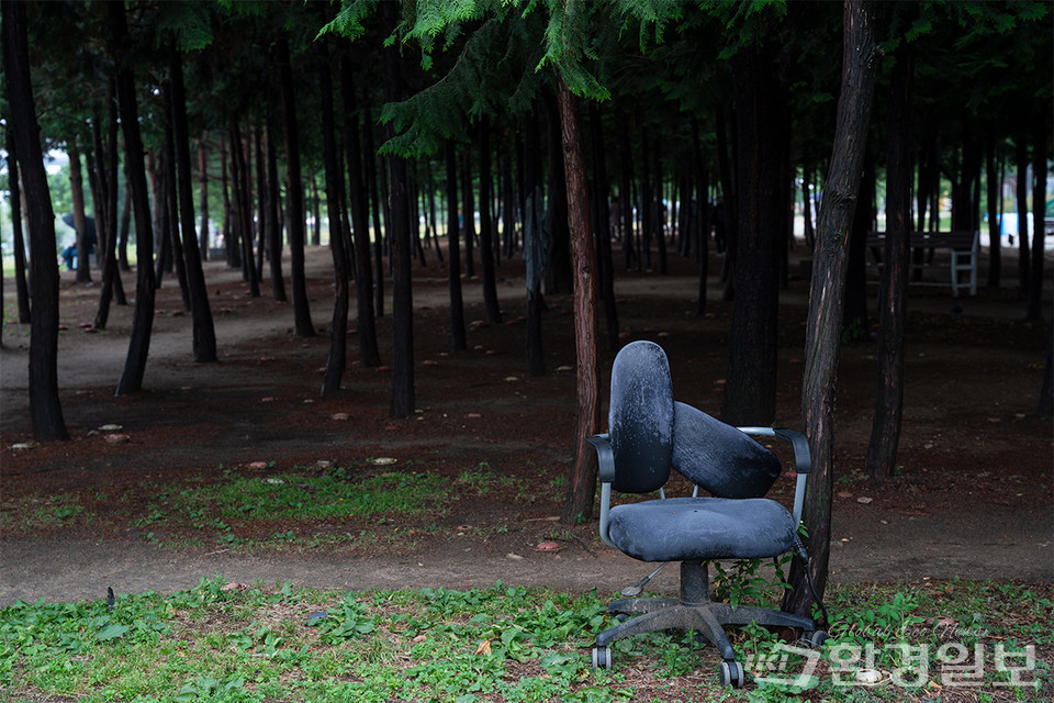6월8일 뚝섬한강공원. 사무용 의자가 공원 한편에 버려져 있다. /사진=노선민