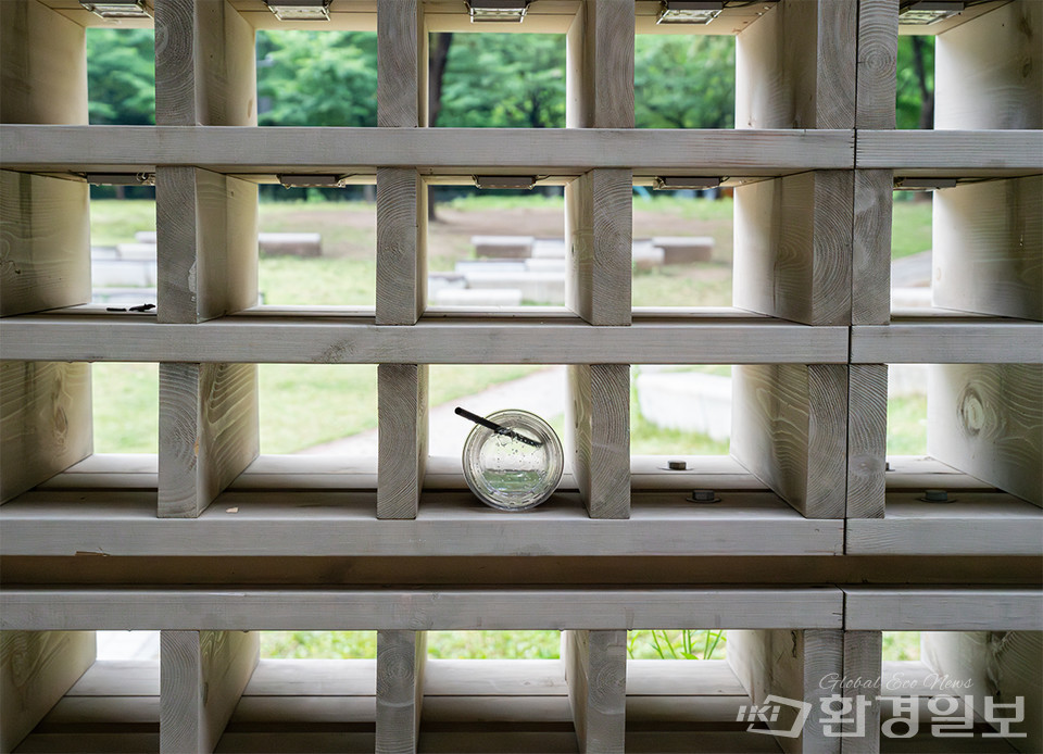 6월8일 서울숲 야외무대에 버려진 플라스틱 컵 /사진=노선민