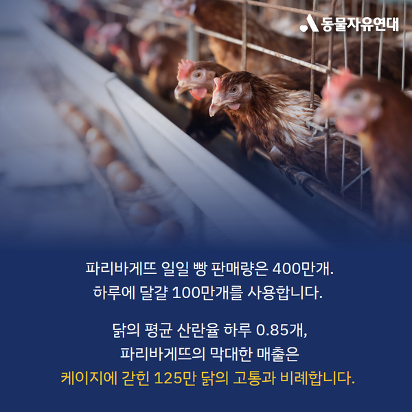 동물단체, 파리바게뜨 케이지프리 동참 촉구 /자료제공=동물자유연대