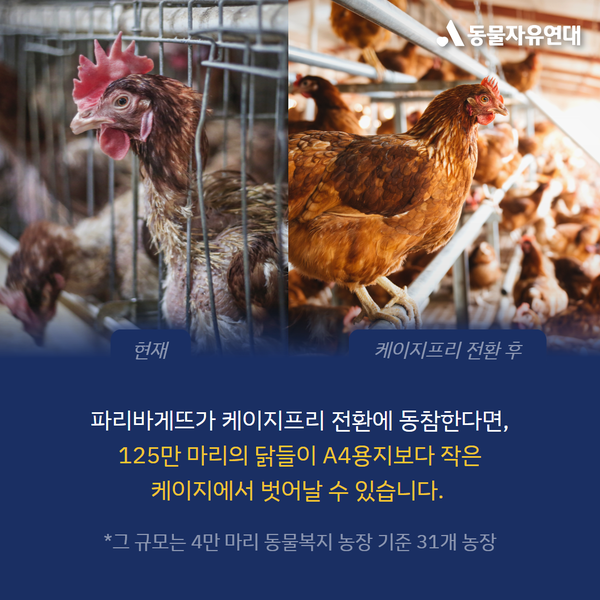 동물단체, 파리바게뜨 케이지프리 동참 촉구 /자료제공=동물자유연대