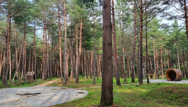 반딧불이 생태숲 /사진제공=환경부