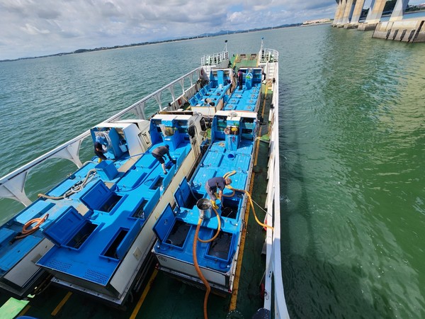 평택시는 평택 연안의 수산 자원 회복 및 어업인의 소득증대를 위해 지난 7월 31일 평택 연안에 넙치 치어(어린고기) 70만 마리를 방류했다. 사진제공=평택시