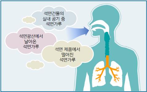 석면 질병 발생도 /자료제공=환경부
