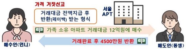 특수관계인 간 가격 허위신고 의심사례(지자체 통보). 자매 간 직거래로 실제 거래금액과 신고금액 상이 /자료제공=국토교통부