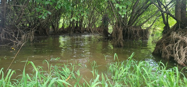 현풍저수지 /사진=이유진 학생기자