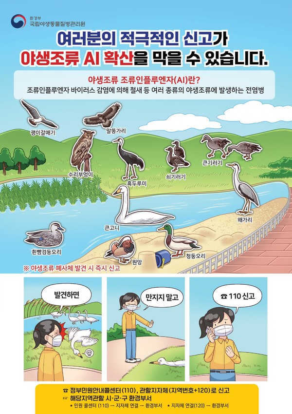 야생조류 조류인플루엔자 홍보자료 /자료제공=환경부