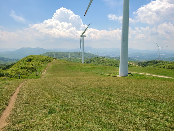 대관령숲길 선자령 구간 /사진제공=국립산림과학원
