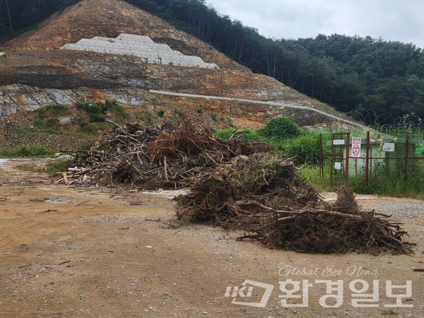 관리되지 않은 채 수개월째 방치 중인 임목폐기물 /사진=김성재 기자