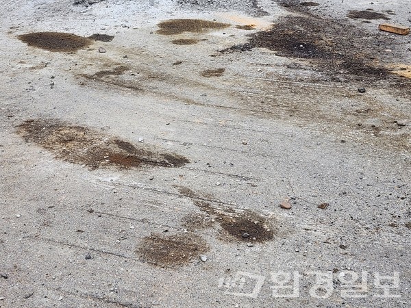공사현장에서 발견된 기름유출 현장 /사진=김성재 기자