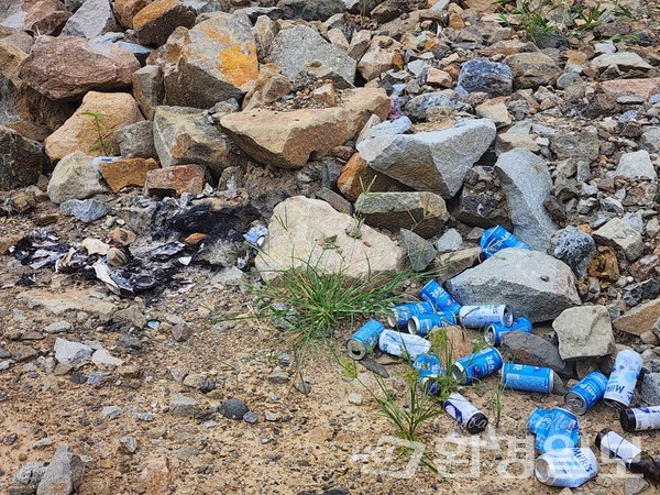 쓰레기를 불법으로 소각한 흔적 /사진=김성재 기자