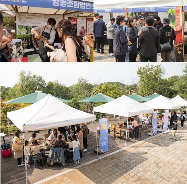 ‘광명동굴 와인 페스티벌’ /사진제공=경기관광공사