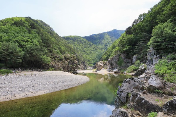 왕피천 계곡 /사진제공=환경부