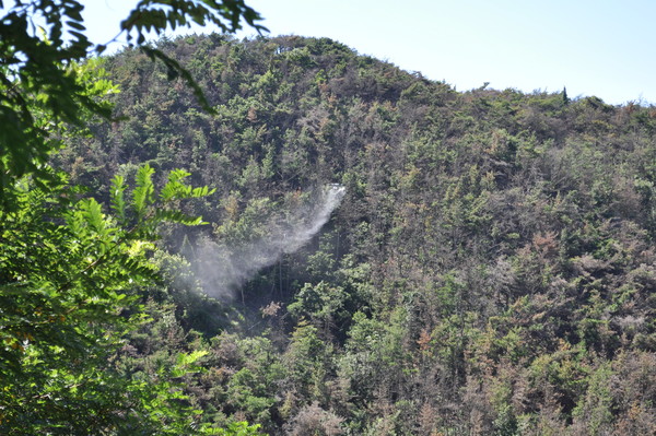   소나무재선충병 드론방제 모습 /사진제공=산림청