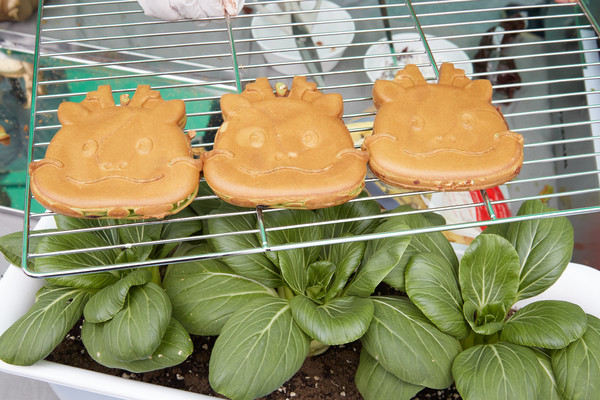 ’I LOVE 용인‘이 선보인 조아용 빵 /사진제공=용인시의회